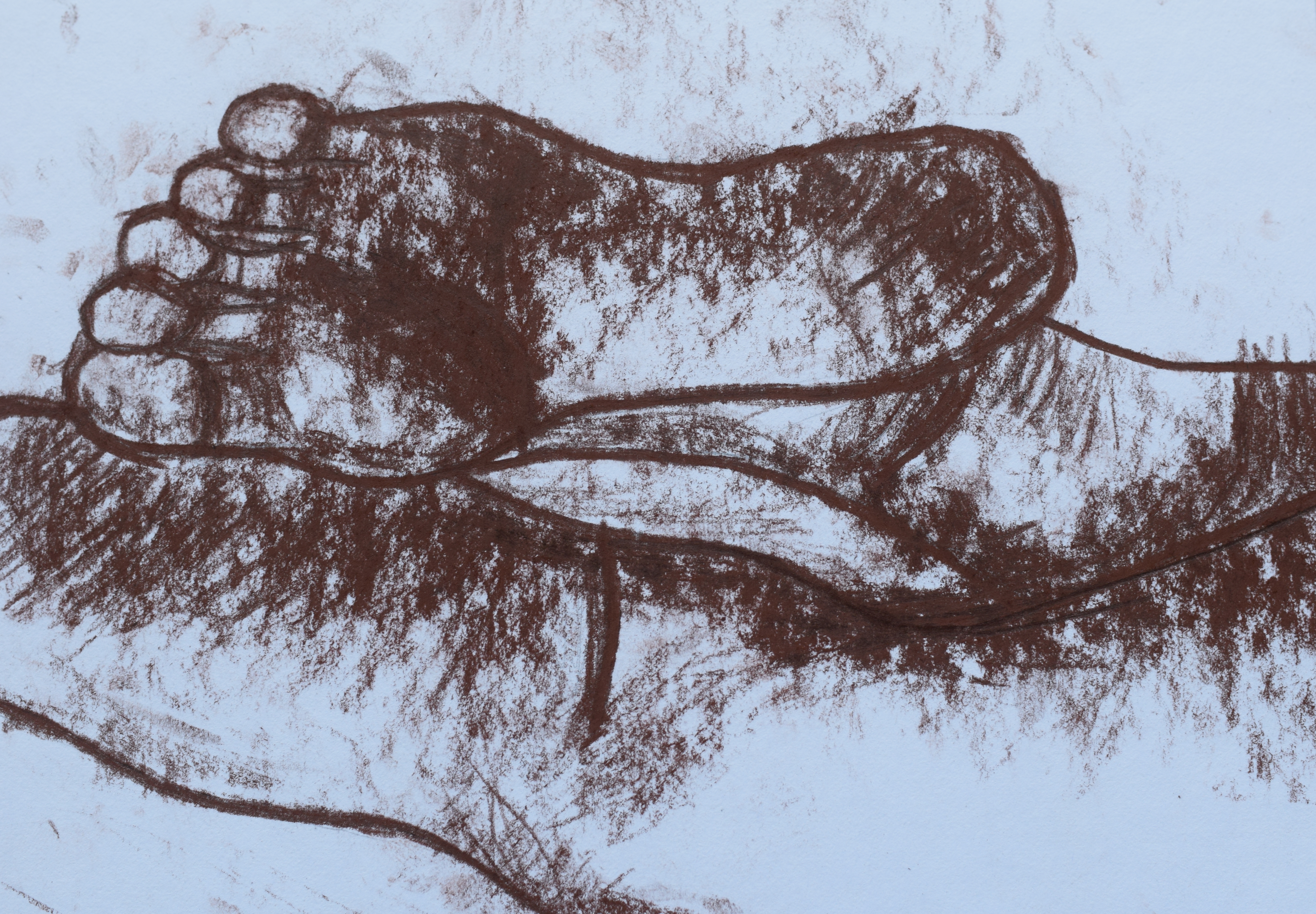 Nohy